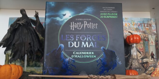 Harry Potter – Le calendrier d'Halloween des Forces du Mal ! – Notre avis –  Back to the GEEK !