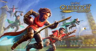 harry-potter-champion-de-quidditch-jeu-avis-review-test-9