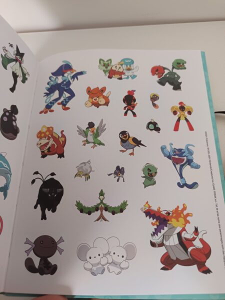 pokemon-l-epopee-des-neuf-regions-carnet-activités-jeunesse-les-livres-du-dragon-d-or-avis-review-chronique-1