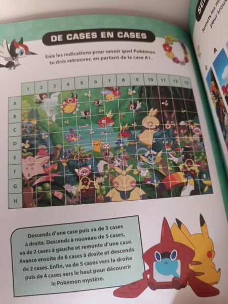 pokemon-l-epopee-des-neuf-regions-carnet-activités-jeunesse-les-livres-du-dragon-d-or-avis-review-chronique-3