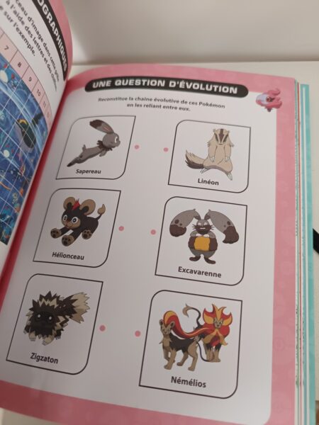 pokemon-l-epopee-des-neuf-regions-carnet-activités-jeunesse-les-livres-du-dragon-d-or-avis-review-chronique-4