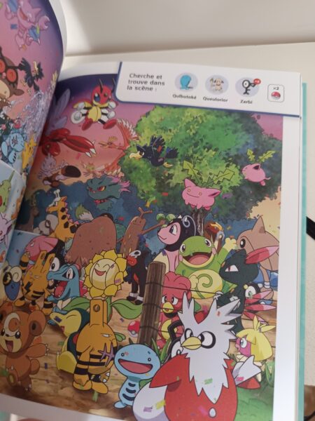 pokemon-l-epopee-des-neuf-regions-carnet-activités-jeunesse-les-livres-du-dragon-d-or-avis-review-chronique-5