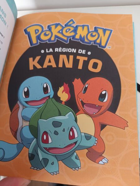 pokemon-l-epopee-des-neuf-regions-carnet-activités-jeunesse-les-livres-du-dragon-d-or-avis-review-chronique-6