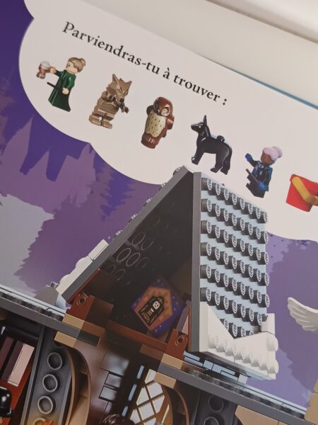 lego-harry-potter-cherche-et-trouve-les-editions-du-dragon-d-or-abis-review-chronique-5