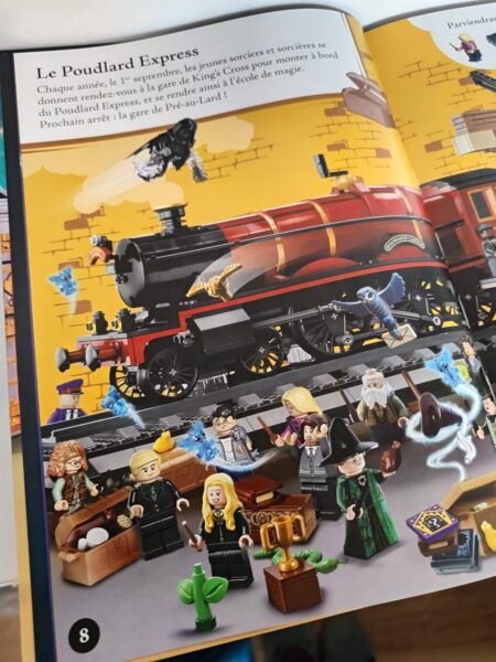 lego-harry-potter-cherche-et-trouve-les-editions-du-dragon-d-or-abis-review-chronique-8