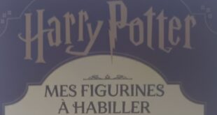 Harry-Potter-mesèfigurines-a-habiller-404-editions-wizarding-world-11