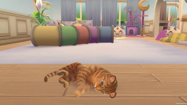 cat-rescue-story-switch-test-avis-jeu-video-7