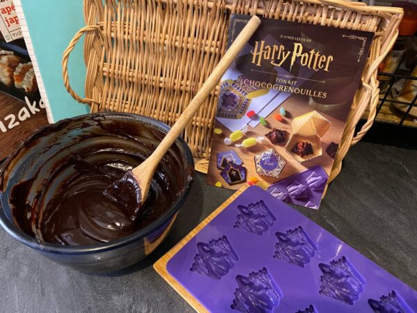 harry-potter-kit-chocogrenouilles-chocolat-404-editions-avis-review-3