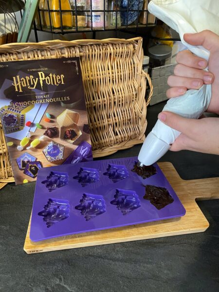 harry-potter-kit-chocogrenouilles-chocolat-404-editions-avis-review-5