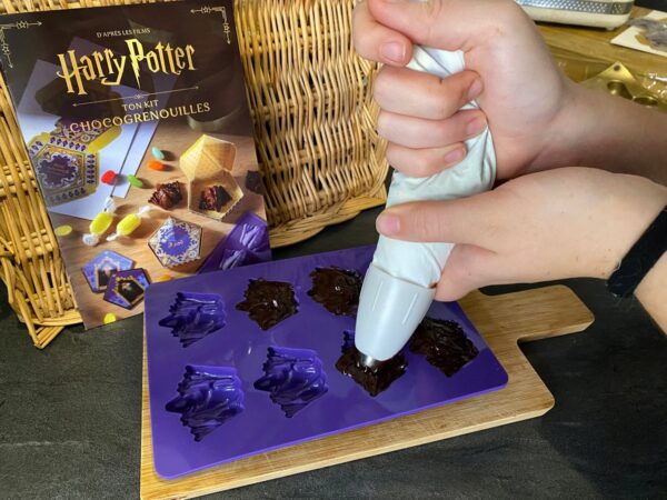 harry-potter-kit-chocogrenouilles-chocolat-404-editions-avis-review-6