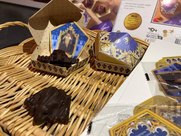 harry-potter-kit-chocogrenouilles-chocolat-404-editions-avis-review-8