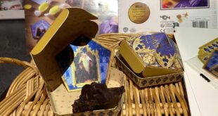 harry-potter-kit-chocogrenouilles-chocolat-404-editions-avis-review-9