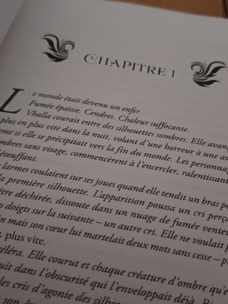 l-eveil-de-l-air-la-chute-du-feu-elise-kova-bigbang-romantasy-fantasy-avis-review-saga-tome-2-chronique-5