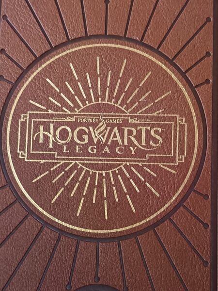 hogwarts-legacy-carnet-de-notes-404-editions-avis-review-chronique-2